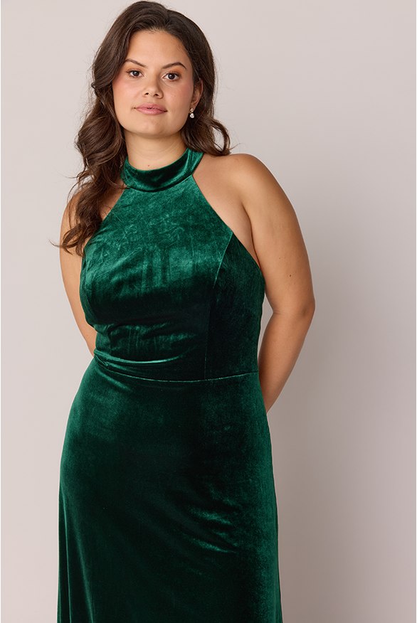 Revelry Tori Velvet Dress