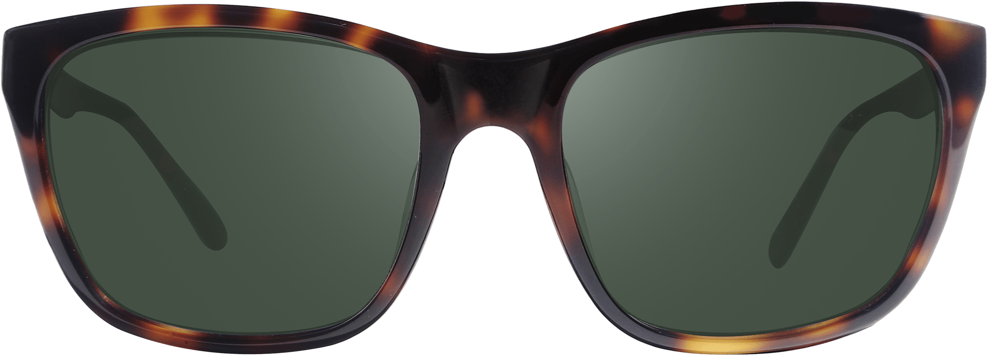 revo Grand Sixties LTD L Tortoise Smoky Green