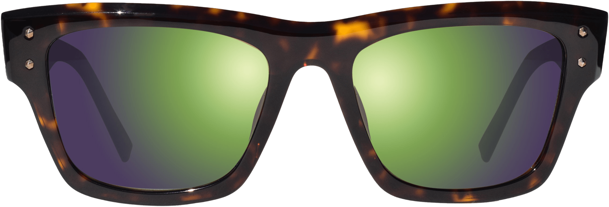 revo Indigo M Tortoise Evergreen