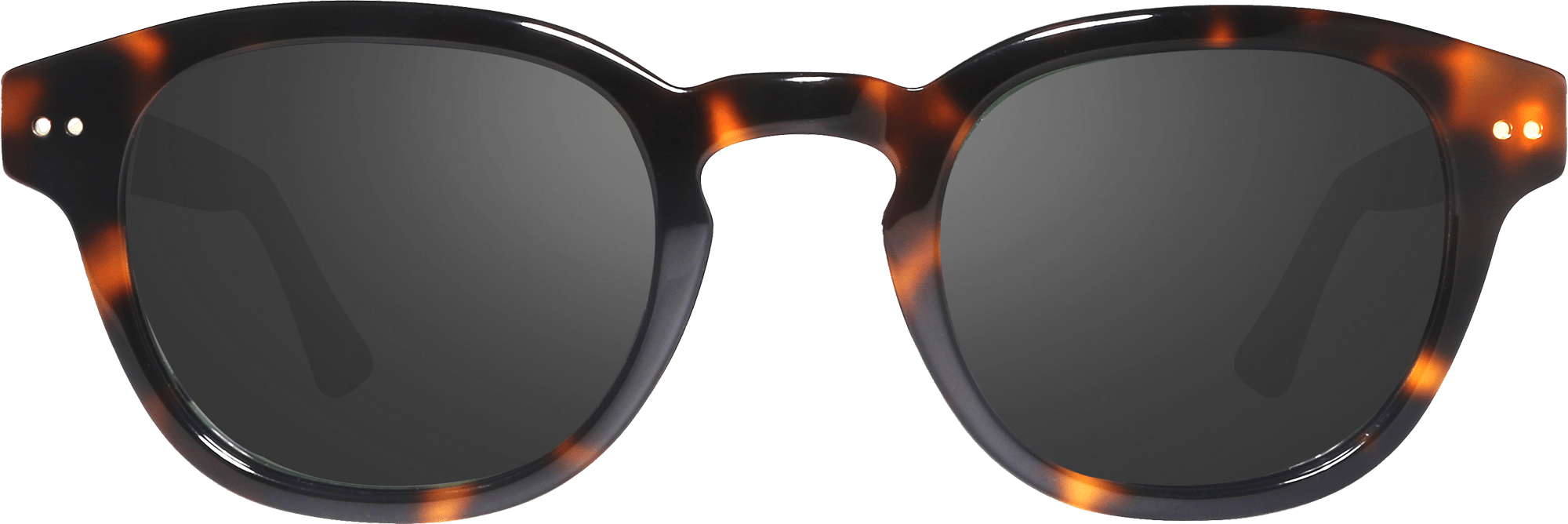 revo Sterling M Shiny Tortoise Graphite