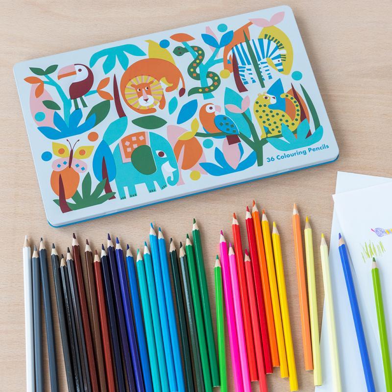 rex london 36 colouring pencils in a tin - Wild Wonders