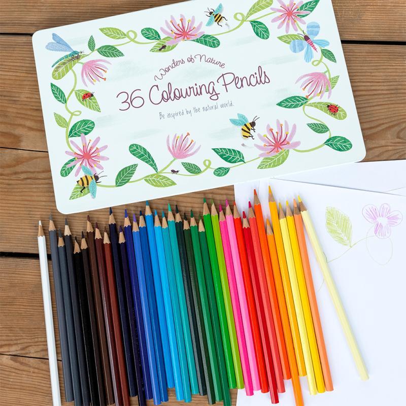 rex london 36 colouring pencils in a tin - Wonders of Nature