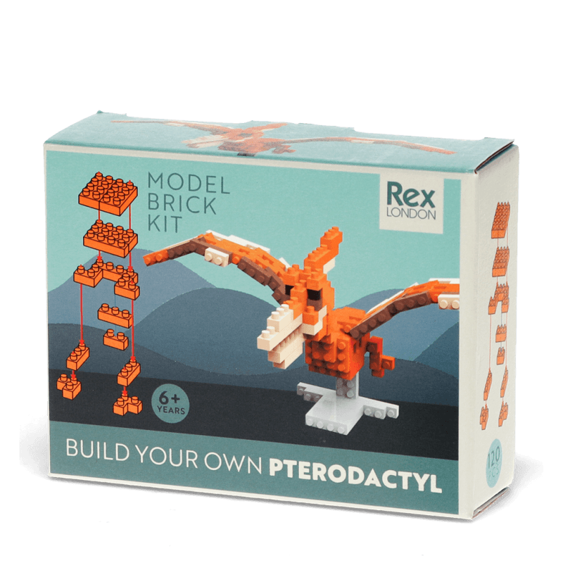 Rex London Build Your Own Dinosaur Model Brick Kit - Pterodactyl