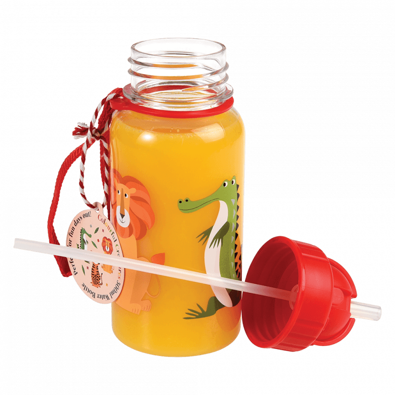 Rex London Children's Water Bottle - Colourful Creatures (integrated Straw 500ml)