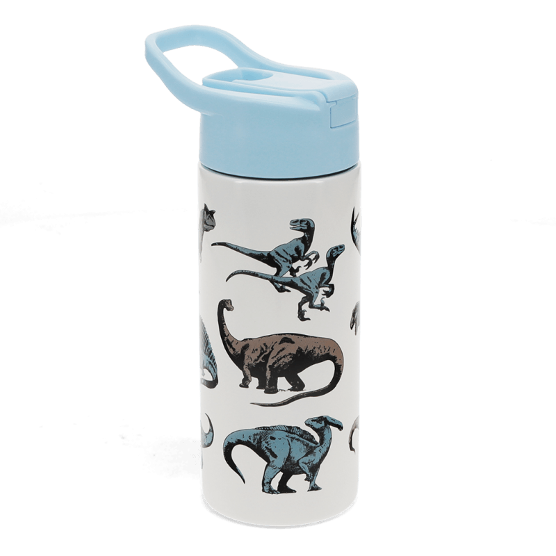 Rex London Children's Water Bottle - Dinosaur (stainless Steel With Straw 500ml)