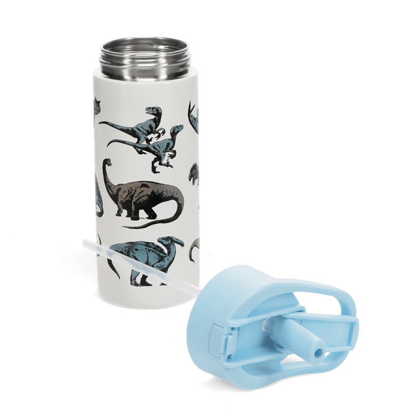 Rex London Children's Water Bottle - Dinosaur (stainless Steel With Straw 500ml)