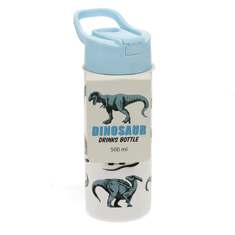 Rex London Children's Water Bottle - Dinosaur (stainless Steel With Straw 500ml)
