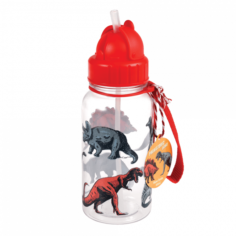 Rex London Children's Water Bottle - Prehistoric Land (integrated Straw 500ml)