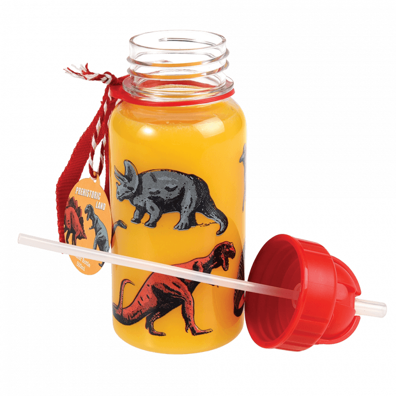 Rex London Children's Water Bottle - Prehistoric Land (integrated Straw 500ml)