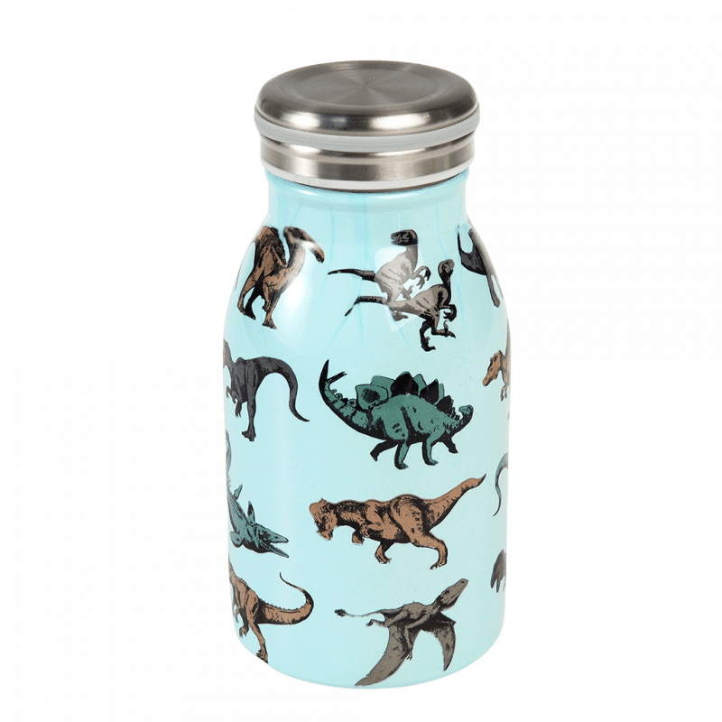 Rex London Children's Water Bottle - Prehistoric Land (stainless Steel 250ml)