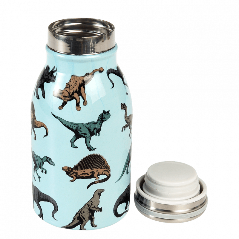 Rex London Children's Water Bottle - Prehistoric Land (stainless Steel 250ml)