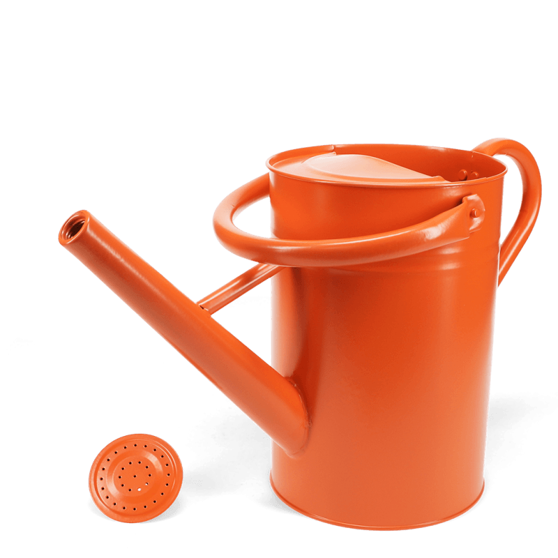 Rex London Galvanised Steel Watering Can 4.5L - Orange