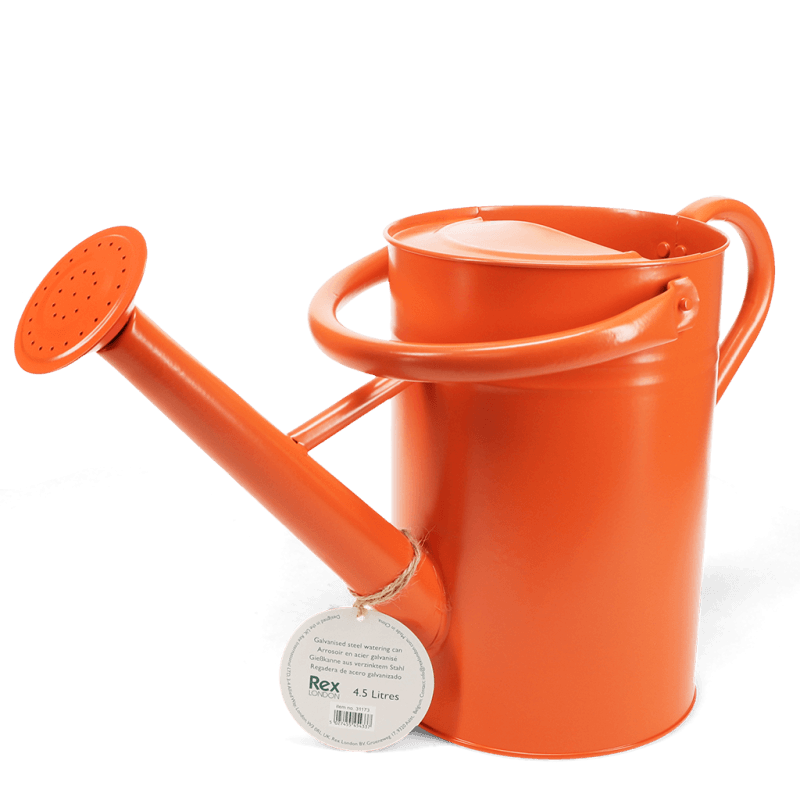 Rex London Galvanised Steel Watering Can 4.5L - Orange
