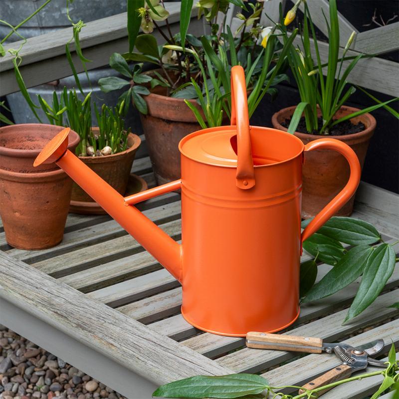 rex london Galvanised steel watering can 4.5L - Orange