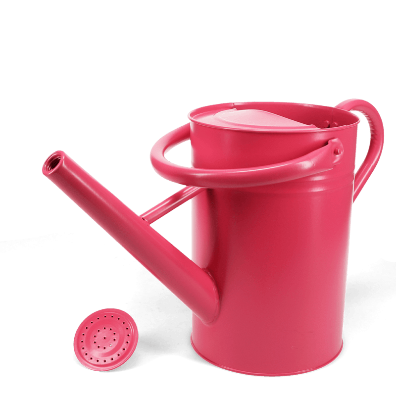 Rex London Galvanised Steel Watering Can 4.5L - Vibrant Pink