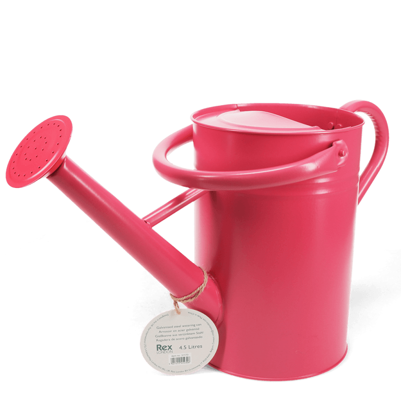 Rex London Galvanised Steel Watering Can 4.5L - Vibrant Pink