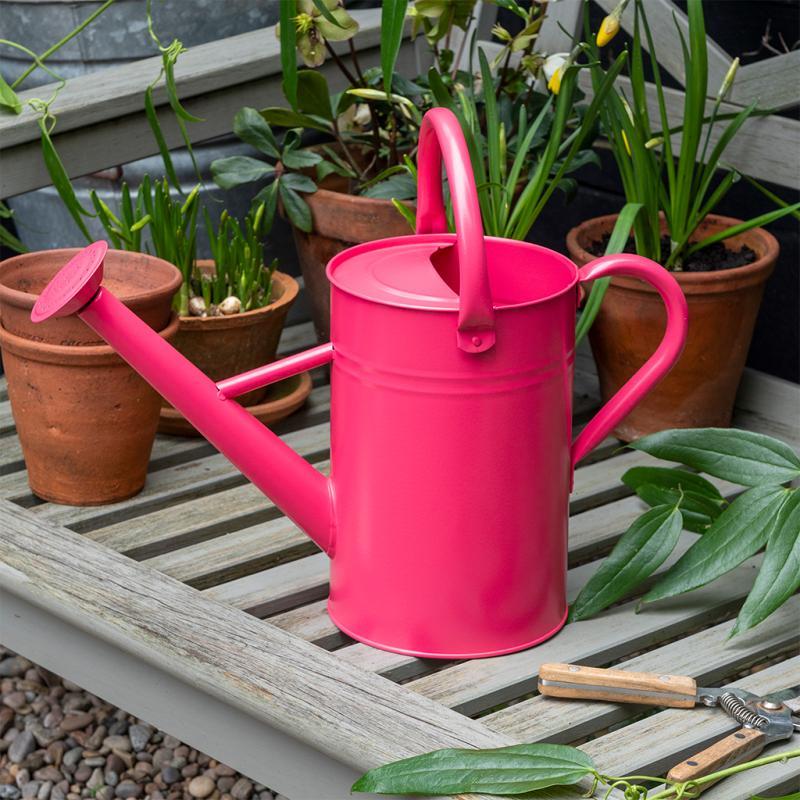 rex london Galvanised steel watering can 4.5L - Vibrant pink