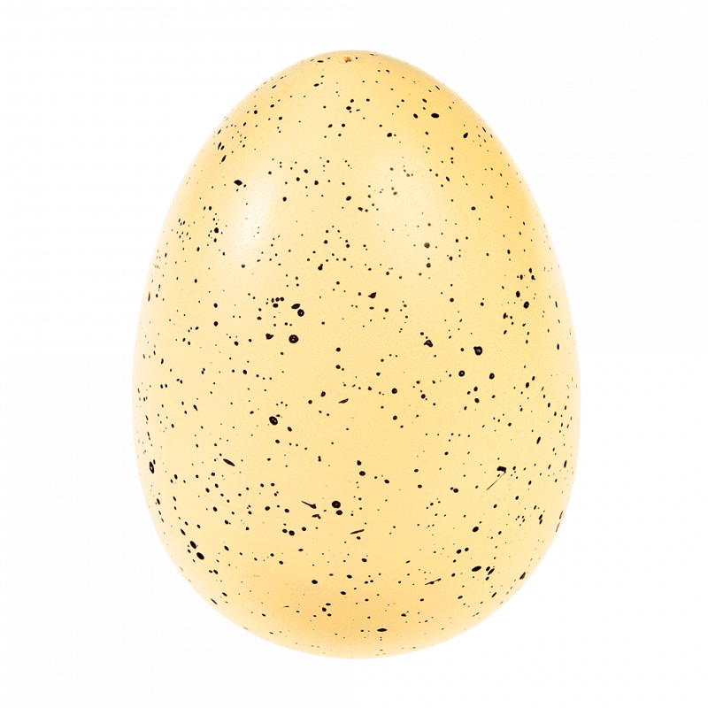 Rex London Giant Hatching Dinosaur Egg - Prehistoric Land