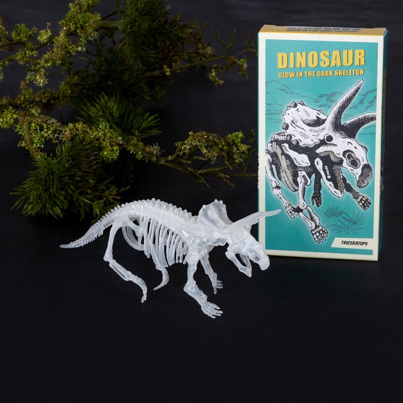 Rex London Glow-in-the-dark Dinosaur Skeleton Kit (assorted - SINGLE)