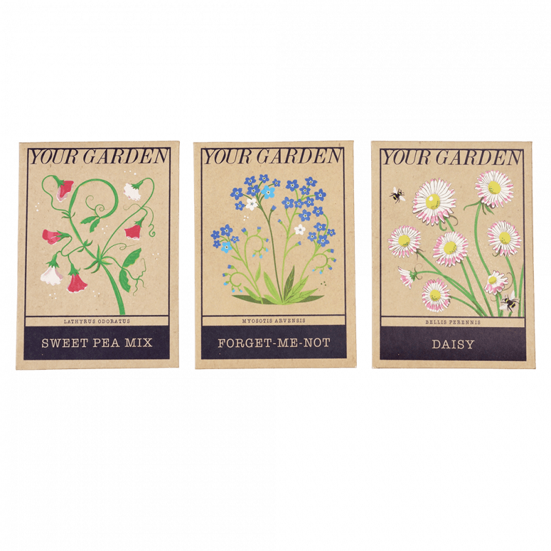 Rex London Pack Of Flower Seeds - Your Garden (assorted - SINGLE)