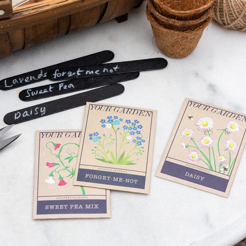 rex london Pack of flower seeds - Your Garden (assorted - SINGLE)