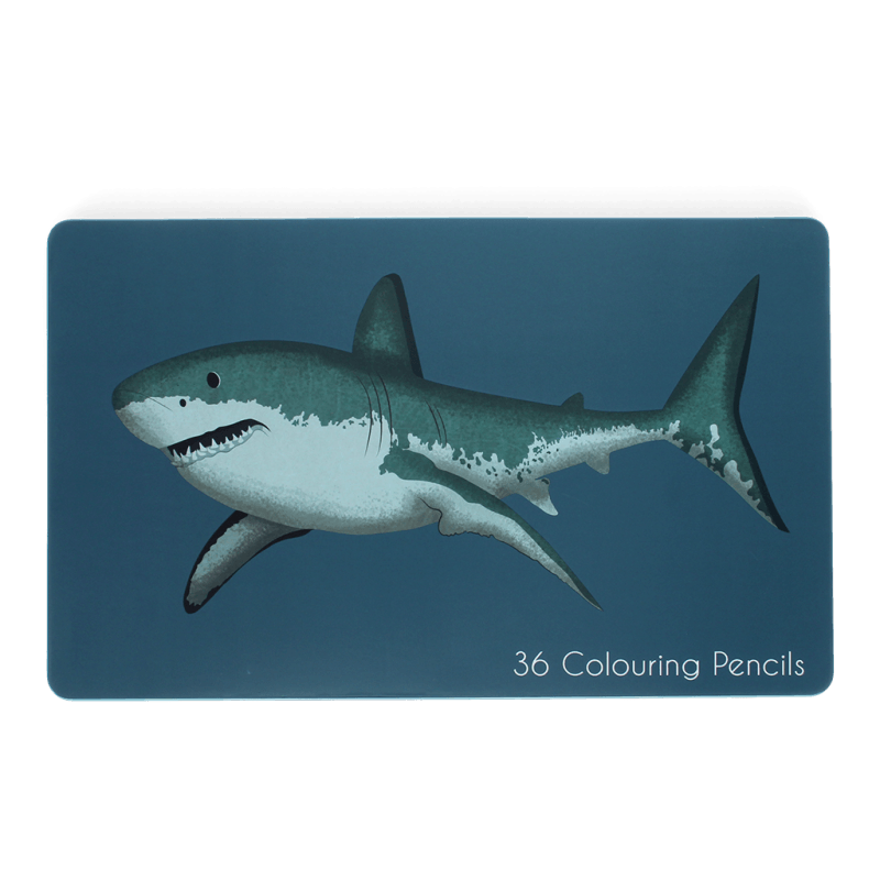 Rex London 36 Colouring Pencils In A Tin - Sharks