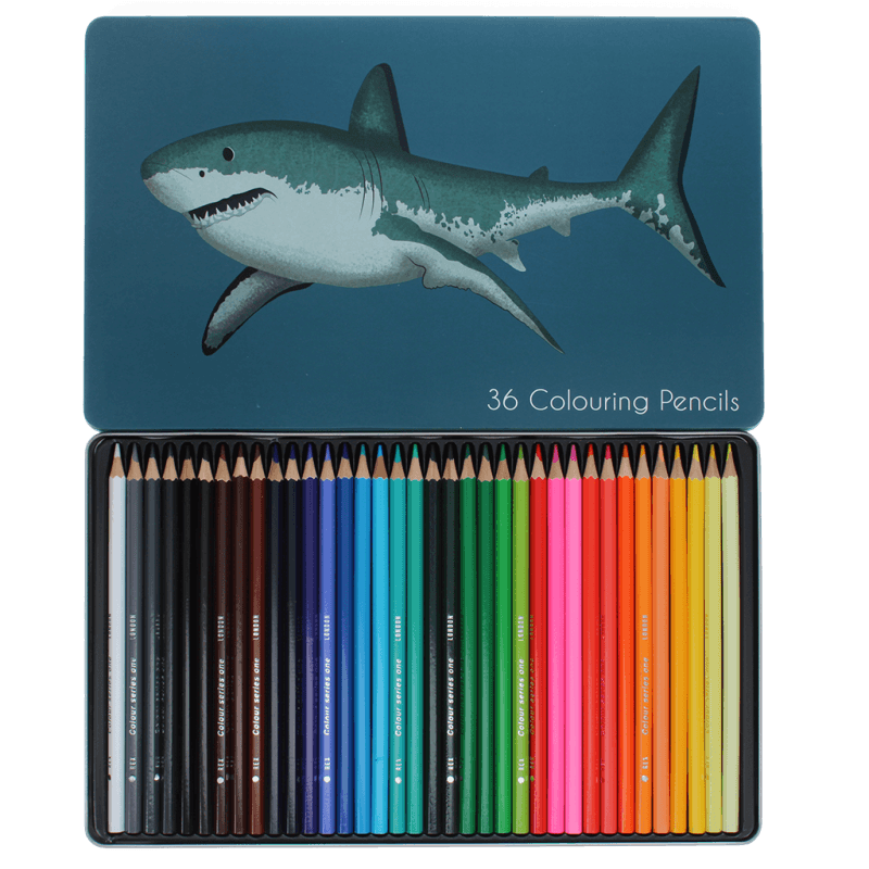Rex London 36 Colouring Pencils In A Tin - Sharks