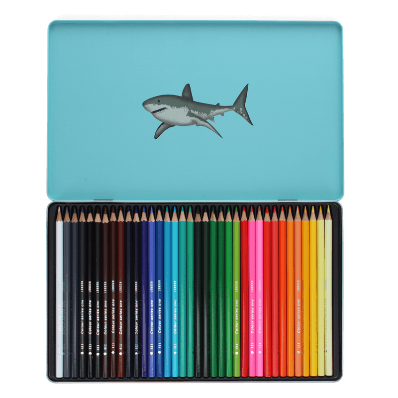 Rex London 36 Colouring Pencils In A Tin - Sharks