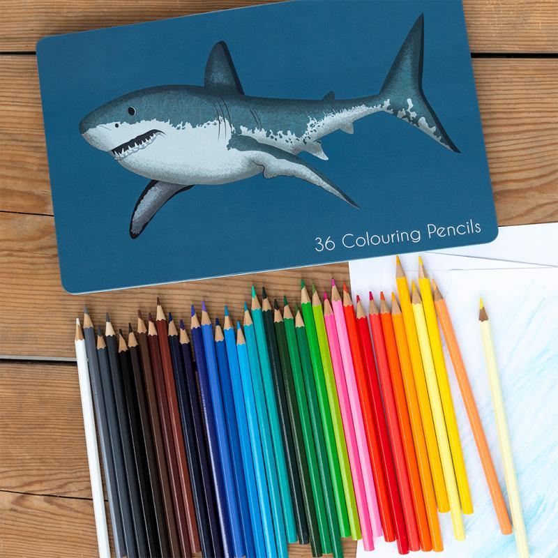 rex london 36 colouring pencils in a tin - Sharks