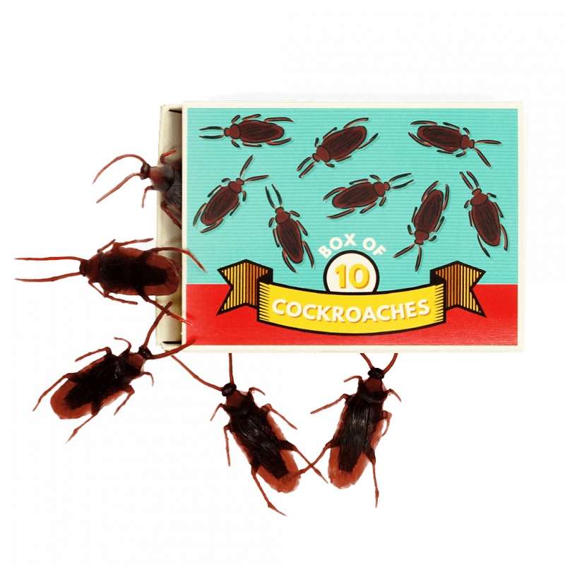 Rex London Box Of 10 Cockroaches - Classic Jokes