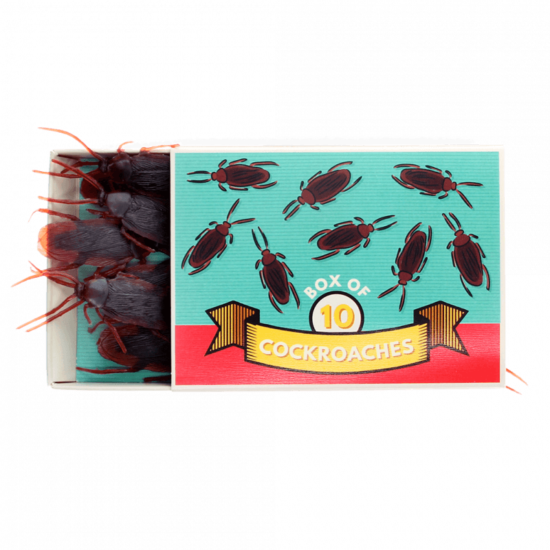 Rex London Box Of 10 Cockroaches - Classic Jokes