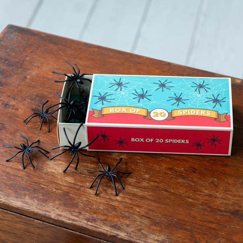 rex london Box of 20 spiders - Classic Jokes