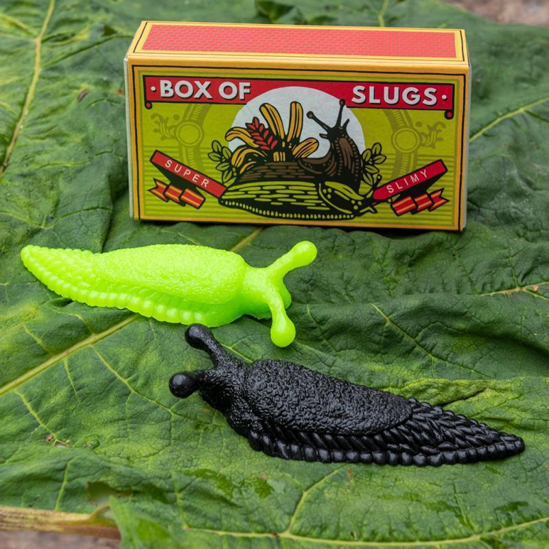 rex london Box of two slimy slugs