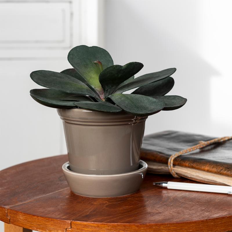 rex london Ceramic plant pot and saucer - Grey