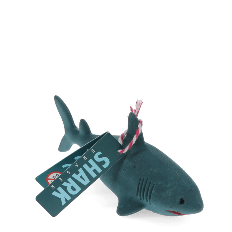 Rex London Eraser - Sharks (assorted)