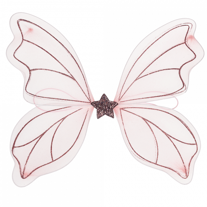 Rex London Fairy Wings - Fairies In The Garden