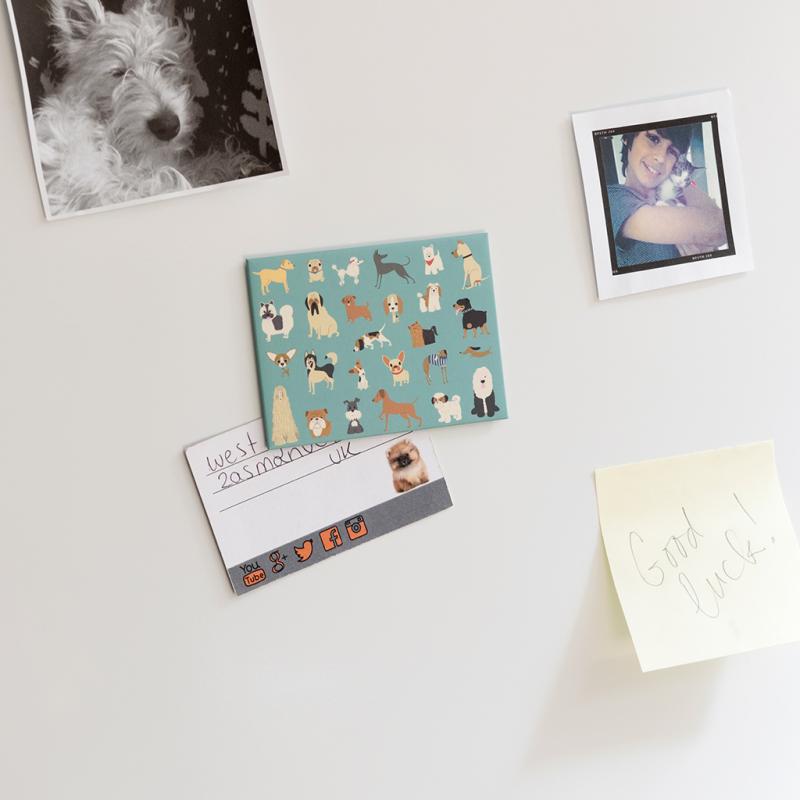 rex london Fridge magnet - Best in Show