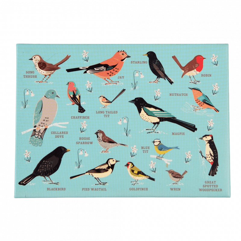 Rex London Fridge Magnet - Garden Birds