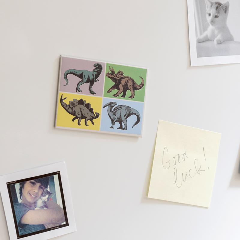 rex london Fridge magnet - Prehistoric Land