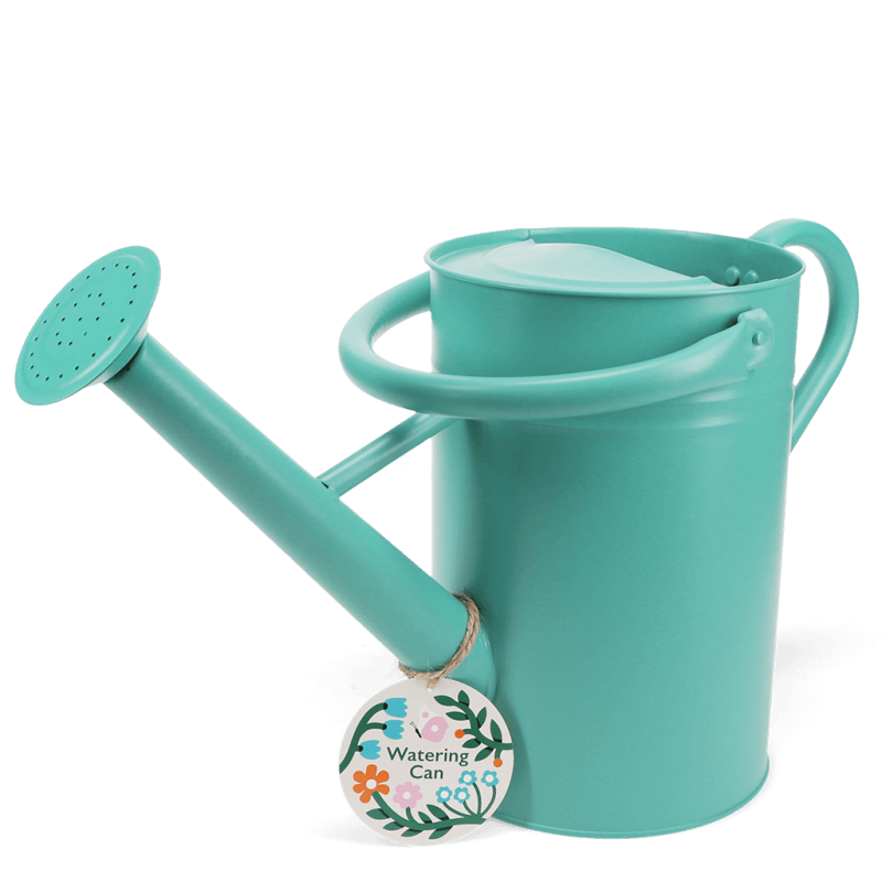 Rex London Galvanised Steel Watering Can 4.5L - Aqua