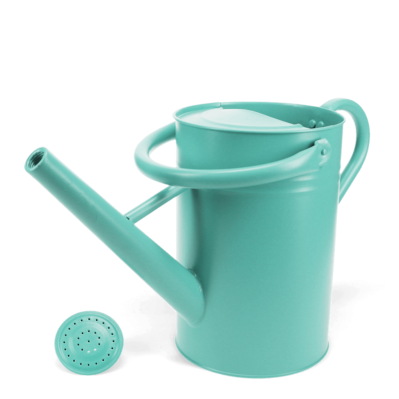 Rex London Galvanised Steel Watering Can 4.5L - Aqua