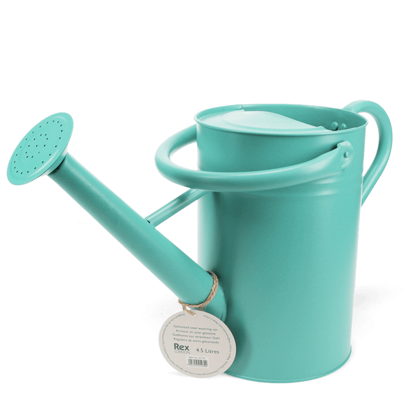 Rex London Galvanised Steel Watering Can 4.5L - Aqua