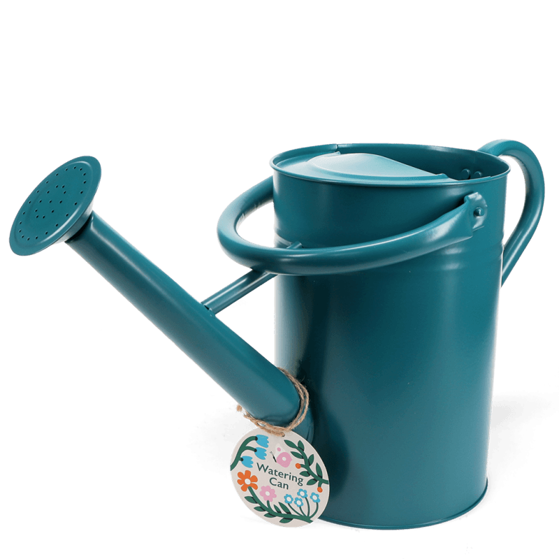 Rex London Galvanised Steel Watering Can 4.5L - Blue