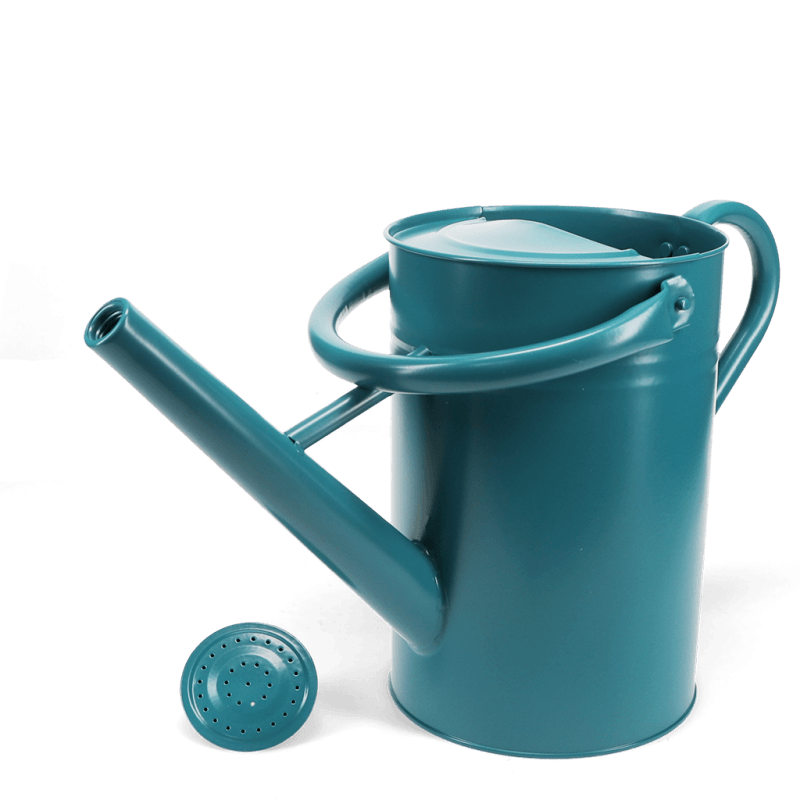 Rex London Galvanised Steel Watering Can 4.5L - Blue