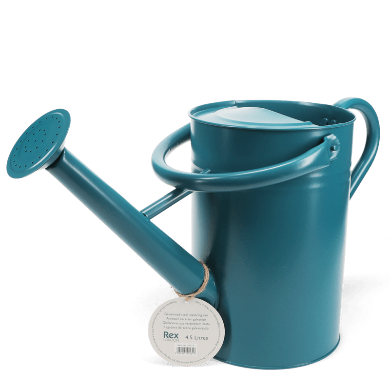 Rex London Galvanised Steel Watering Can 4.5L - Blue