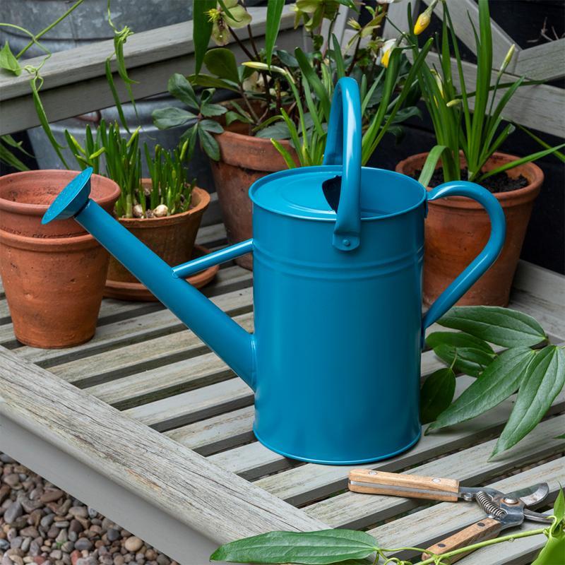 rex london Galvanised steel watering can 4.5L - Blue