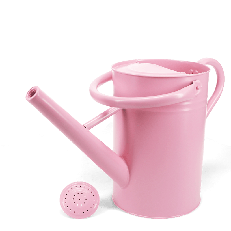 Rex London Galvanised Steel Watering Can 4.5L - Pink