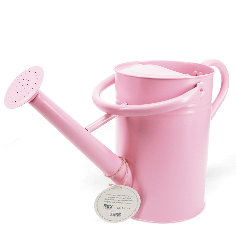 Rex London Galvanised Steel Watering Can 4.5L - Pink