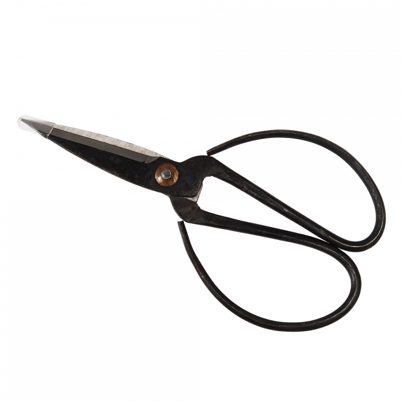 Rex London Gardener's Scissors - Your Garden