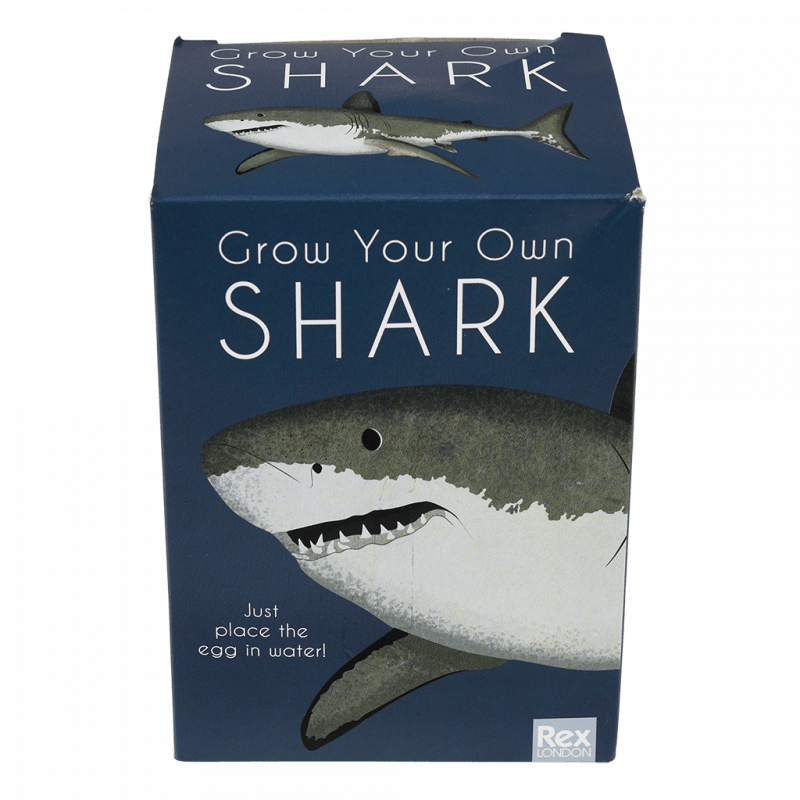 Rex London Giant Hatching Shark Egg - Sharks